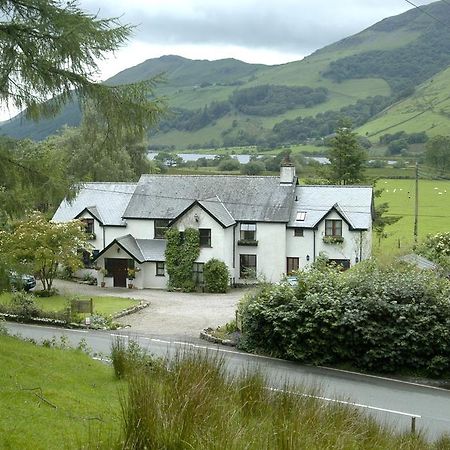 Hotel Dolffanog Fawr Tal-y-llyn Esterno foto