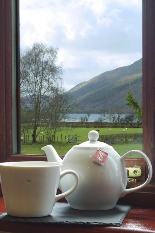 Hotel Dolffanog Fawr Tal-y-llyn Esterno foto