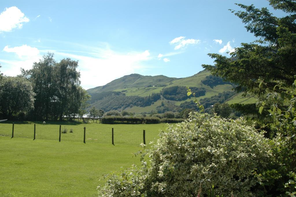 Hotel Dolffanog Fawr Tal-y-llyn Esterno foto