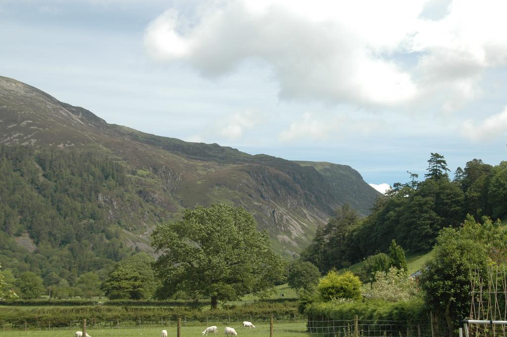 Hotel Dolffanog Fawr Tal-y-llyn Esterno foto