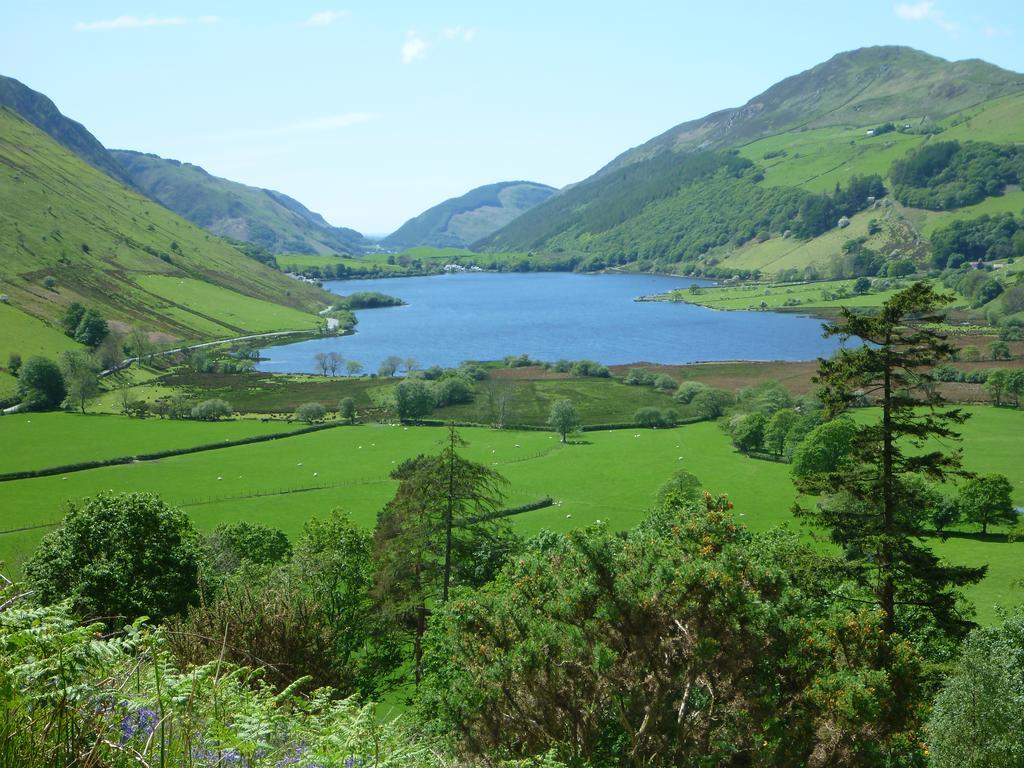 Hotel Dolffanog Fawr Tal-y-llyn Esterno foto