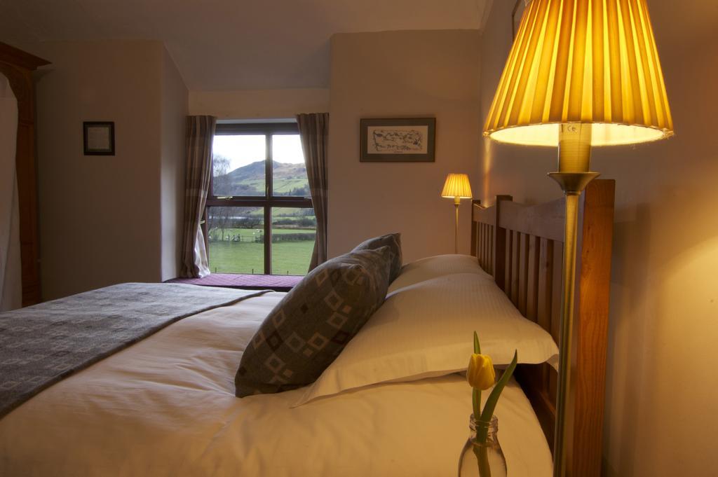 Hotel Dolffanog Fawr Tal-y-llyn Esterno foto